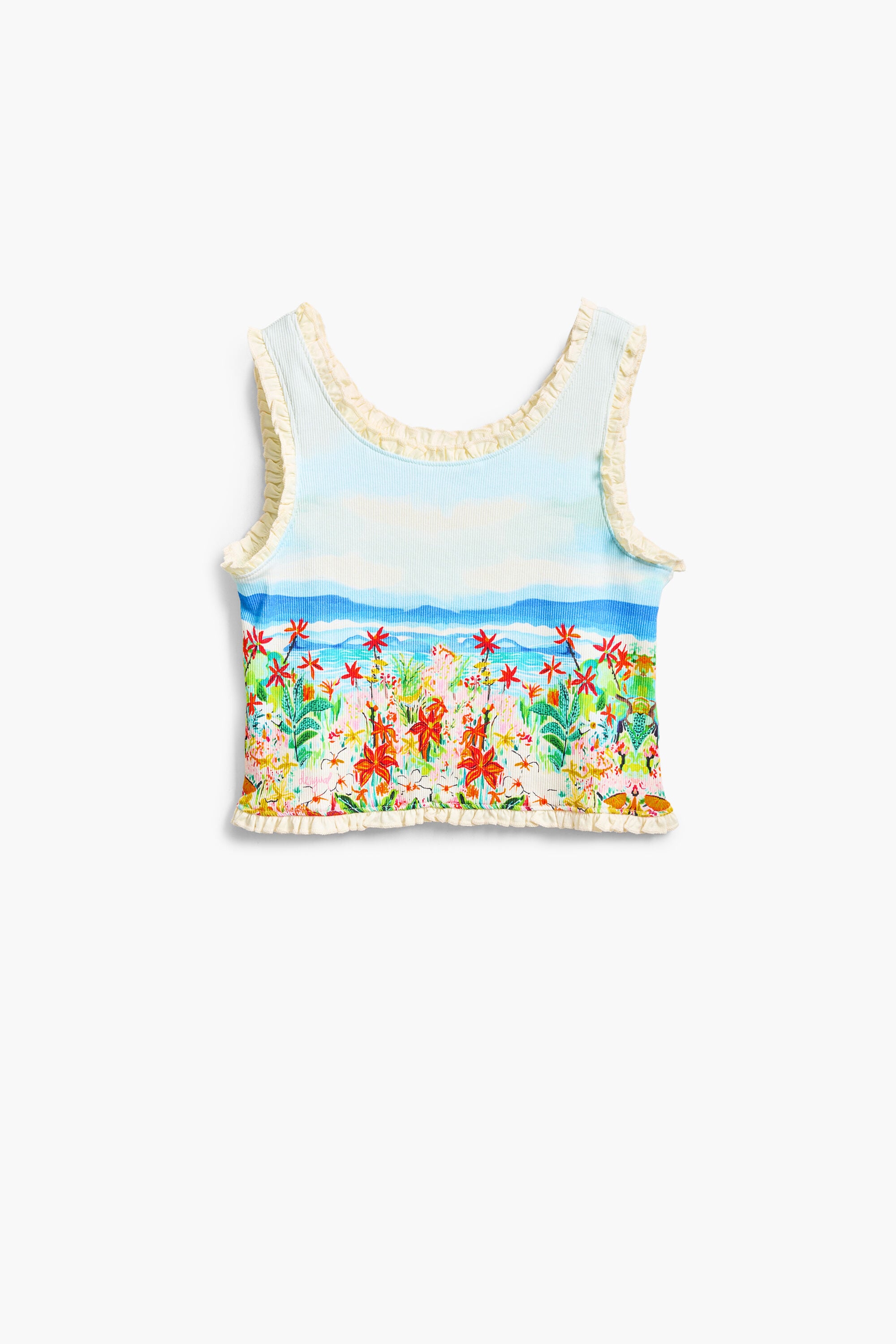 Desigual T-shirt met landschapprint